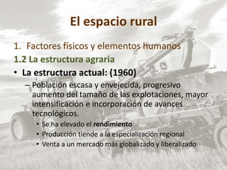 El espacio rural
1. Factores físicos y elementos humanos
1.2 La estructura agraria
• La estructura actual: (1960)
– Población escasa y envejecida, progresivo
aumento del tamaño de las explotaciones, mayor
intensificación e incorporación de avances
tecnológicos.
• Se ha elevado el rendimiento
• Producción tiende a la especialización regional
• Venta a un mercado más globalizado y liberalizado
 