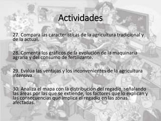 Actividades
27. Compara las características de la agricultura tradicional y
de la actual.
28. Comenta los gráficos de la evolución de la maquinaria
agraria y del consumo de fertilizante.
29. Evalúa las ventajas y los inconvenientes de la agricultura
intensiva.
30. Analiza el mapa con la distribución del regadío, señalando
las áreas por las que se extiende, los factores que lo explican y
las consecuencias que implica el regadío en las zonas
afectadas.
 