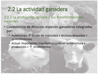 2.2 La actividad ganadera
2.1.2 La producción agrícola y sus transformaciones
recientes
• Coexistencia de distintas especies ganaderas integradas
por:
• Autóctonas: ↑ Grado de rusticidad + técnicas atrasadas +
↓rendimientos
• Actual: Importantes transformaciones en la estructura +
producción = ↑ rendimientos
 