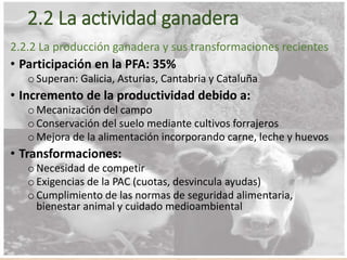 2.2 La actividad ganadera
2.2.2 La producción ganadera y sus transformaciones recientes
• Participación en la PFA: 35%
o Superan: Galicia, Asturias, Cantabria y Cataluña
• Incremento de la productividad debido a:
o Mecanización del campo
o Conservación del suelo mediante cultivos forrajeros
o Mejora de la alimentación incorporando carne, leche y huevos
• Transformaciones:
o Necesidad de competir
o Exigencias de la PAC (cuotas, desvincula ayudas)
o Cumplimiento de las normas de seguridad alimentaria,
bienestar animal y cuidado medioambiental
 