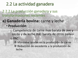 2.2 La actividad ganadera
2.2.2 La producción ganadera y sus
transformaciones recientes
a) Ganadería bovina: carne y leche
•Producción:
o Competencia de carne más barata de ave y
cerdo y de leche más barata de otros países
o PAC:
 Mantiene ayudas en la producción de carne
 Reducción de excedente a la producción de
leche
 