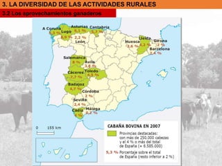 3. LA DIVERSIDAD DE LAS ACTIVIDADES RURALES
3.2 Los aprovechamientos ganaderos
 