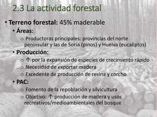 2.3 La actividad forestal
• Terreno forestal: 45% maderable
• Áreas:
o Productoras principales: provincias del norte
peninsular y las de Soria (pinos) y Huelva (eucaliptos)
• Producción:
o ↑ por la expansión de especies de crecimiento rápido
o Necesidad de exportar madera
o Excedente de producción de resina y corcho
• PAC:
o Fomento de la repoblación y silvicultura
o Objetivo: ↑ producción de madera y usos
recreativos/medioambientales del bosque
 