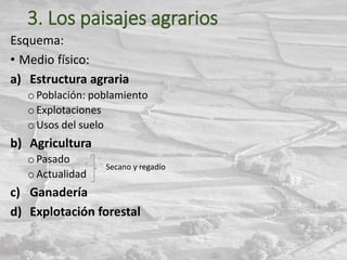 3. Los paisajes agrarios
Esquema:
• Medio físico:
a) Estructura agraria
o Población: poblamiento
o Explotaciones
oUsos del suelo
b) Agricultura
o Pasado
o Actualidad
c) Ganadería
d) Explotación forestal
Secano y regadío
 