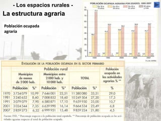 - Los espacios rurales -
La estructura agraria
Población ocupada
agraria
 