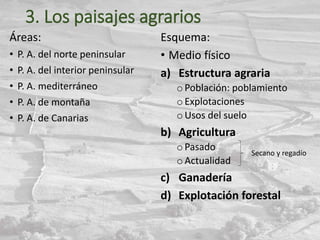 3. Los paisajes agrarios
Áreas:
• P. A. del norte peninsular
• P. A. del interior peninsular
• P. A. mediterráneo
• P. A. de montaña
• P. A. de Canarias
Esquema:
• Medio físico
a) Estructura agraria
o Población: poblamiento
o Explotaciones
o Usos del suelo
b) Agricultura
o Pasado
o Actualidad
c) Ganadería
d) Explotación forestal
Secano y regadío
 