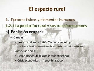 El espacio rural
1. Factores físicos y elementos humanos
1.2.1 La población rural y sus transformaciones
a) Población ocupada
– Causas:
• Éxodo rural entre 1960-75 condicionado por
– Mecanización, atracción a la industria y servicios urbanos
– Consecuencias:
• Despoblación de las áreas más atrasadas
• Crisis económicas = freno del éxodo
 