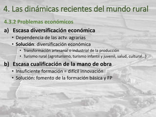 4. Las dinámicas recientes del mundo rural
4.3.2 Problemas económicos
a) Escasa diversificación económica
• Dependencia de las actv. agrarias
• Solución: diversificación económica
• Transformación artesanal o industrial de la producción
• Turismo rural (agroturismo, turismo infantil y juvenil, salud, cultural…)
b) Escasa cualificación de la mano de obra
• Insuficiente formación = difícil innovación
• Solución: fomento de la formación básica y FP
 