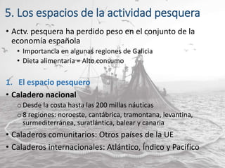 5. Los espacios de la actividad pesquera
• Actv. pesquera ha perdido peso en el conjunto de la
economía española
• Importancia en algunas regiones de Galicia
• Dieta alimentaria = Alto consumo
1. El espacio pesquero
• Caladero nacional
o Desde la costa hasta las 200 millas náuticas
o 8 regiones: noroeste, cantábrica, tramontana, levantina,
surmediterránea, suratlántica, balear y canaria
• Caladeros comunitarios: Otros países de la UE
• Caladeros internacionales: Atlántico, Índico y Pacífico
 