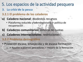 5. Los espacios de la actividad pesquera
3. La crisis de la pesca
3.2.1 El problema de los caladeros
a) Caladero nacional: modestos recursos
• Plataforma reducida y sobreexplotada -> política de
recuperación
b) Caladeros comunitarios: sistema de cuotas
c) Caladeros internacionales: restricciones
3.2.2 Problema demográfico
• Población escasa, envejecida y de escasa formación
o -> Ayudas a jóvenes pescadores + mejora de la formación
 