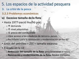 5. Los espacios de la actividad pesquera
3. La crisis de la pesca
3.2.3 Problemas económicos
a) Excesivo tamaño de la flota
• Hasta 1977 creció mucho por:
o  demanda
o nivel adquisitivo
o  precio del combustible
o Libre acceso a los caladeros de terceros países
o Facilidades para la renovación y modernización en los 60`
• Crisis del petróleo + ZEE = tamaño excesivo
• Entrada en la UE:
o Reducción del tamaño de la flota: prejubilaciones o retiro
oRenovación y modernización de la flota: fondos europeos
 