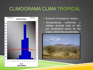 CLIMOGRAMA CLIMA TROPICAL
            Estación húmeda en verano.
            Temperaturas    uniformes y
             cálidas durante todo el año
             por localizarse cerca de las
             bajas presiones ecuatoriales.
 