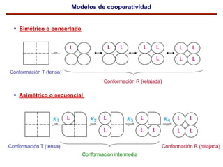 Tema 5 proteinas estructura 4a hemoglobina farmacia | PDF