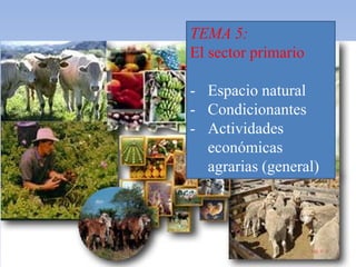 TEMA 5:
El sector primario
- Espacio natural
- Condicionantes
- Actividades
económicas
agrarias (general)
 
