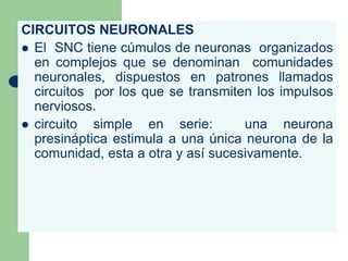 CIRCUITOS NEURONALES<br />El  SNC tiene cúmulos de neuronas  organizados en complejos que se denominan  comunidades neuron...