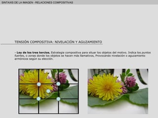 TENSIÓN COMPOSITIVA: NIVELACIÓN Y AGUZAMIENTO -  Ley de los tres tercios.  Estrategia compositiva para situar los objetos del motivo. Indica los  puntos fuertes , o zonas donde los objetos se hacen más llamativos, Provocando nivelación o aguzamiento armónicos según su elección. 