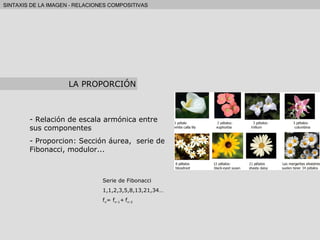 Relación de escala armónica entre sus componentes Proporcion: Sección áurea,  serie de Fibonacci, modulor... Serie de Fibonacci 1,1,2,3,5,8,13,21,34… f n = f n-1 +   f n-2 LA PROPORCIÓN 