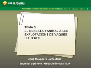 Jordi Maynegre Santaulària Enginyer agrònom - Gestrum Integral SLP TEMA 5:  EL BENESTAR ANIMAL A LES EXPLOTACIONS DE VAQUES LLETERES 