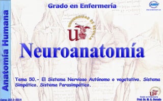www.anatomiamv.es
Grado en Enfermería
 