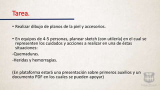 Tarea.
• Realizar dibujo de planos de la piel y accesorios.
• En equipos de 4-5 personas, planear sketch (con utilería) en el cual se
representen los cuidados y acciones a realizar en una de éstas
situaciones:
-Quemaduras.
-Heridas y hemorragias.
(En plataforma estará una presentación sobre primeros auxilios y un
documento PDF en los cuales se pueden apoyar)
 