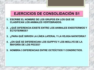 EJERCICIOS DE CONSOLIDACIÓN S1
1. ESCRIBE EL NOMBRE DE LOS GRUPOS EN LOS QUE SE
CLASIFICAN LOS ANIMALES VERTEBRADOS.
2. ¿Q...