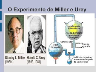 O Experimento de Miller e Urey
 