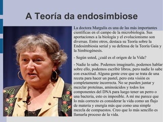 A Teoría da endosimbiose
La doctora Margulis es una de las más importantes
científicas en el campo de la microbiologia. Sus
aportaciones a la biología y el evolucionismo son
diversas. Entre otros, destaca su Teoría sobre la
Endosimbiosia serial y su defensa de la Teoría Gaia y
la Simbiogénesis.
- Según usted, ¿cuál es el origen de la Vida?
- Nadie lo sabe. Podemos imaginarlo, podemos hablar
sobre ello, podemos escribir libros, pero nadie lo sabe
con exactitud. Alguna gente cree que se trata de una
receta para hacer un pastel, pero esta visión es
completamente incorrecta. No se pueden juntar y
mezclar proteínas, aminoácidos y todos los
componentes del DNA para luego tener un perro o
una bacteria, esto es imposible. A mí me parece que
lo más correcto es considerar la vida como un flujo
de materia y energía más que como una simple
mezcla de compuestos. Creo que lo más sencillo es
llamarla proceso de la vida.
 