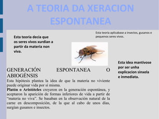 Esta teoria decia que
os seres vivos xurdian a
partir da materia non
viva.
A TEORIA DA XERACION
ESPONTANEA
Esta idea mantivose
por ser unha
explicacion sinxela
e inmediata.
Esta teoria aplicabase a insectos, gusanos e
pequenos seres vivos.
GENERACIÓN ESPONTANEA OGENERACIÓN ESPONTANEA O
ABIOGÉNSISABIOGÉNSIS
Esta hipótesis plantea la idea de que la materia no viviente
puede originar vida por sí misma.
Platón o Aristóteles creyeron en la generación espontánea, y
aceptaron la aparición de formas inferiores de vida a partir de
“materia no viva”. Se basaban en la observación natural de la
carne en descomposición, de la que al cabo de unos días,
surgían gusanos e insectos.
 