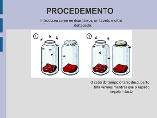PROCEDEMENTO
Introduceu carne en dous tarros, un tapado e oitro
destapado.
O cabo do tempo o tarro descuberto
tiña vermes mentres que o rapado
seguía intacto
 
