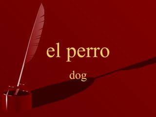el perro dog 