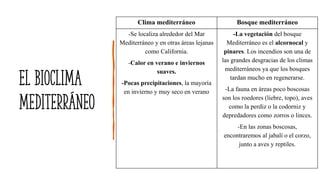 El bioclima
mediterráneo
Clima mediterráneo Bosque mediterráneo
-Se localiza alrededor del Mar
Mediterráneo y en otras áreas lejanas
como California.
-Calor en verano e inviernos
suaves.
-Pocas precipitaciones, la mayoría
en invierno y muy seco en verano
-La vegetación del bosque
Mediterráneo es el alcornocal y
pinares. Los incendios son una de
las grandes desgracias de los climas
mediterráneos ya que los bosques
tardan mucho en regenerarse.
-La fauna en áreas poco boscosas
son los roedores (liebre, topo), aves
como la perdiz o la codorniz y
depredadores como zorros o linces.
-En las zonas boscosas,
encontraremos al jabalí o el corzo,
junto a aves y reptiles.
 