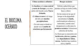 El bioclima
oceánico
Clima oceánico o atlántico Bosque oceánico
-Se localiza en la zona central
y norte de Europa y en otras
partes del mundo como Nueva
Zelanda.
-El clima es suave a lo largo
del año con muchas
precipitaciones
- En esta zona es donde se
puede ver el cambio de
estaciones perfectamente
Árboles caducifolios que
pierden su hoja en otoño (roble,
haya y olmo).
-En las zonas en las que el
bosque se ha degradado
encontramos la landa,
conformada por arbustos y
matorrales, cuando estos
desaparecen se abre paso la
pradera oceánica. Extensiones
cubiertas de hierbas.
-La fauna que se encuentra son:
herbívoros, ciervos y gamos.
Los depredadores: lobos,
zorros. También hay roedores
aves y reptiles.
 