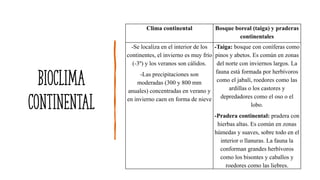 Bioclima
continental
Clima continental Bosque boreal (taiga) y praderas
continentales
-Se localiza en el interior de los
continentes, el invierno es muy frío
(-3º) y los veranos son cálidos.
-Las precipitaciones son
moderadas (300 y 800 mm
anuales) concentradas en verano y
en invierno caen en forma de nieve
-Taiga: bosque con coníferas como
pinos y abetos. Es común en zonas
del norte con inviernos largos. La
fauna está formada por herbívoros
como el jabalí, roedores como las
ardillas o los castores y
depredadores como el oso o el
lobo.
-Pradera continental: pradera con
hierbas altas. Es común en zonas
húmedas y suaves, sobre todo en el
interior o llanuras. La fauna la
conforman grandes herbívoros
como los bisontes y caballos y
roedores como las liebres.
 