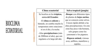 bioclima
ecuatorial
Clima ecuatorial Selva tropical (jungla)
Se localiza en los trópicos,
cerca del Ecuador.
-El clima es caliente y
húmedo, no cambia mucho la
temperatura entre estaciones
ni en el día y la noche.
-Altas precipitaciones (más
de 2000mm al año), que son
regulares a lo largo del año.
-Bosque con diferentes tipos
de plantas de hojas anchas,
que se conocen como selvas.
Crecen rápido debido a las
altas precipitaciones. En esta
zona hay poca vida humana,
solo grupos como los
yanomami o los pigmeos.
-Riqueza animal, vistosas
aves, anfibios, mamíferos y
reptiles.
 