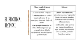 El bioclima
tropical
Clima tropical seco y
húmedo
Sabana
Se localiza en los Trópicos.
-La temperatura no cambia
mucho a lo largo de las
estaciones ni durante el día y la
noche.
-Las precipitaciones son de
500 a 2000 mm por año que
varían a lo largo del año,
sucediéndose una estación seca
y otra húmeda
-En las zonas húmedas
encontraremos más vegetación
(zonas cercanas al ecuador).
Con extensiones de hierba y
árboles aislados.
-En las zonas secas aparece
una vegetación de hierbas
bajas. Hierbas con diferentes
tipos de árboles, como los
baobabs o acacias
 