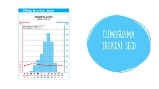 ClimOGRAMA
tropical seco
 