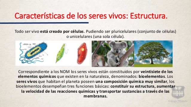 Características de los seres vivos.