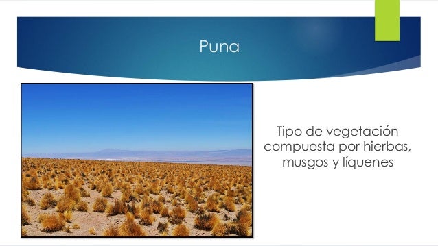 Tema 5 Biosistemas De Altura