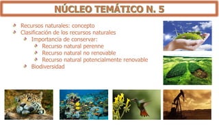Recursos naturales: concepto
Clasificación de los recursos naturales
Importancia de conservar:
Recurso natural perenne
Recurso natural no renovable
Recurso natural potencialmente renovable
Biodiversidad
 