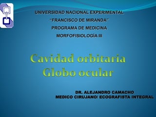 UNIVERSIDAD NACIONAL EXPERIMENTAL
“FRANCISCO DE MIRANDA”
PROGRAMA DE MEDICINA
MORFOFISIOLOGÍA III
DR. ALEJANDRO CAMACHO
MEDICO CIRUJANO/ ECOGRAFISTA INTEGRAL
 