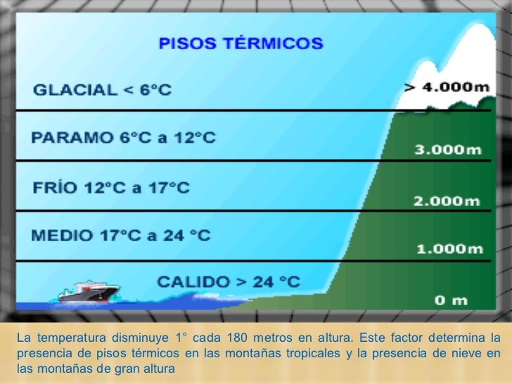 Tema 5 CCSS 1º