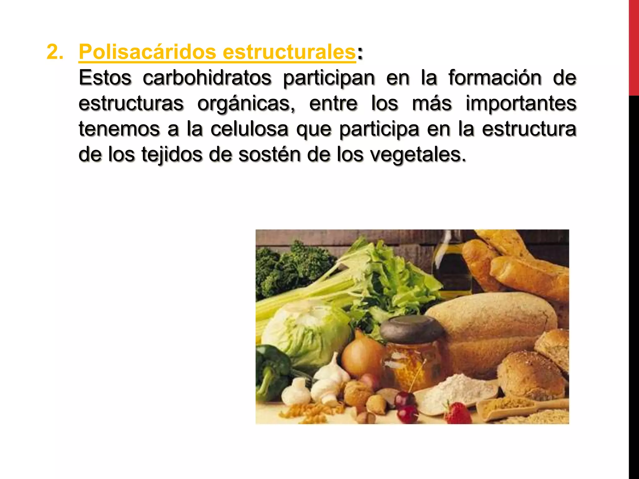 Tema 5 - Clasificación, función, hidrólisis enzimática, absorción y ...
