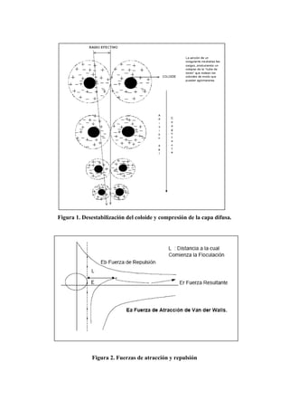 Figura 1. Desestabilización del coloide y compresión de la capa difusa.
Figura 2. Fuerzas de atracción y repulsión
 