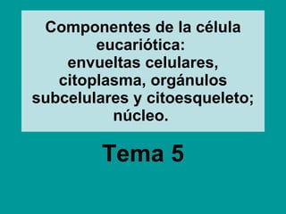 Componentes de la célula eucariótica:  envueltas celulares, citoplasma, orgánulos subcelulares y citoesqueleto; núcleo.   Tema 5 