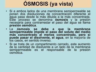 ÓSMOSIS (ya vista) <ul><li>Si a ambos lados de una membrana semipermeable se ponen dos disoluciones de concentración difer...