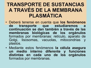 TRANSPORTE DE SUSTANCIAS A TRAVÉS DE LA MEMBRANA PLASMÁTICA <ul><li>Deberá tenerse en cuenta que  los fenómenos de transpo...