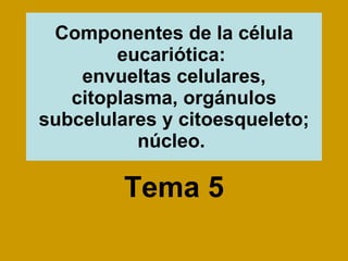 Componentes de la célula eucariótica:  envueltas celulares, citoplasma, orgánulos subcelulares y citoesqueleto; núcleo.   Tema 5 