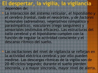 El despertar, la vigilia, la vigilancia,
dependen de:
 La interacción del sistema reticular, el hipotálamo y
el cerebro frontal, todo el neocórtex, y de factores
humorales (adrenalina), vegetativos (simpático y
parasimpático), vasculares (riego sanguíneo) y
sensoriales (estímulos eficaces). Las estructuras del
tallo cerebral y el hipotálamo cumplen con la
función de regular la actividad consciente y el
descanso rítmico del sueño.
 Las oscilaciones del nivel de vigilancia se reflejan en
la actividad eléctrica cerebral y por ello pueden
medirse. Las descargas rítmicas de la vigilia son de
20-40 ciclos/segundo; durante el sueño pierden
sincronía, y a mayor sincronía, mayor nivel de alerta.
 