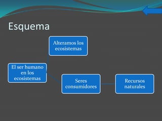 Esquema
                Alteramos los
                 ecosistemas


El ser humano
     en los
 ecosistemas             Seres      Recursos
                     consumidores   naturales
 