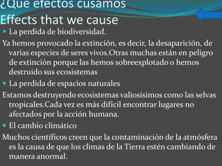¿Qué efectos cusamos
Effects that we cause
 La perdida de biodiversidad.
Ya hemos provocado la extinción, es decir, la desaparición, de
  varias especies de seres vivos.Otras muchas están en peligro
  de extinción porque las hemos sobreexplotado o hemos
  destruido sus ecosistemas
 La perdida de espacios naturales
Estamos destruyendo ecosistemas valiosísimos como las selvas
  tropicales.Cada vez es más difícil encontrar lugares no
  afectados por la acción humana.
 El cambio climático
Muchos científicos creen que la contaminación de la atmósfera
  es la causa de que los climas de la Tierra estén cambiando de
  manera anormal.
 